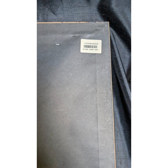 Original WALT DISNEY Beauty & Beast Cozy Couple 5000 Serigraph SeriCel Cel Cell - Picture 2 of 10